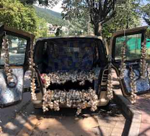 Fliegender Knoblauchhändler in Igoumenitsa