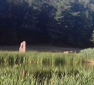 Seewoog in Ramstein-Miesenbach