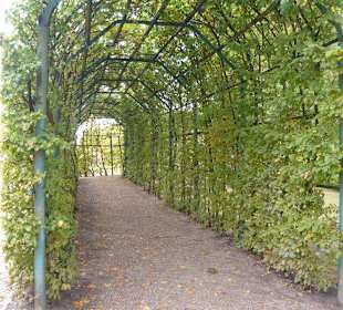 Park Schloss Rheinsberg