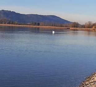 Bodensee