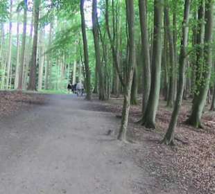 Nationalpark Jasmund