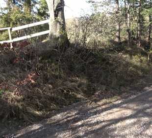 Hirschauer Spitzbergwegle (Premiumspazierwanderweg