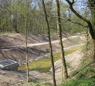 Bei der Lingenfelder Grotte