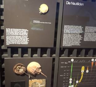 Jura-Museum