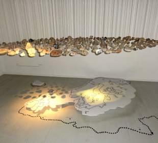 Aspekte der Geest in Nordwestdeutschland