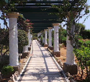 Garten Kalithea Therme