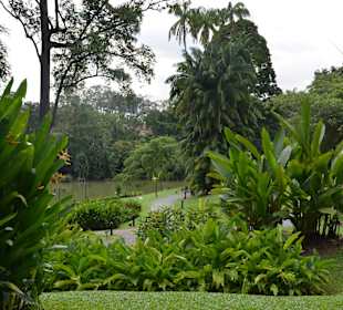 Ogród botaniczny