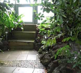 Tropicarium