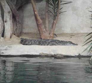 Tropenaquarium Hagenbeck