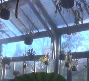 Real Jardín Botánico de Madrid