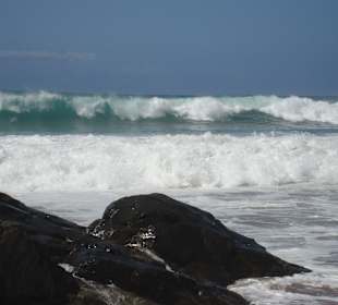Westküste - Los Molinos