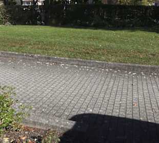 Rosengarten