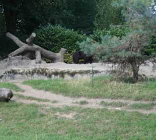 Tierpark Hagenbeck