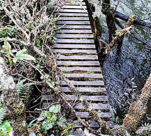 Rundweg „La Isla“ Path