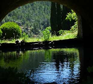 Spiegelung im Teich
