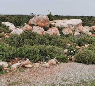 Wandern Didim