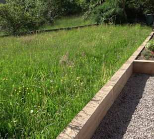 Arzneipflanzengarten Klosterreichenbach