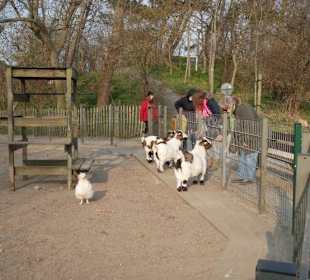 Äpfelchen nicht vergessen!