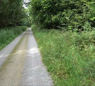 Sonnenaufgangs-Rundwanderung Rübgarten