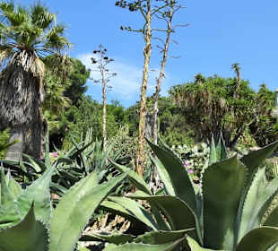 Impressionen aus dem Botanischen Garten Cagliari