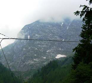 Der Plöckenpass 06-2011