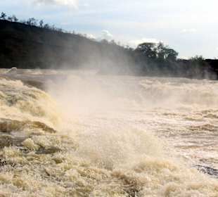 Stromschnellen des Rio Caroni.