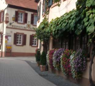 Altstadt St. Martin