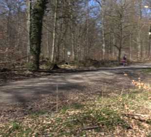 Geschichtlicher Lehrpfad Einsiedel