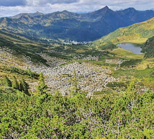 Wandern Donnersbachwald