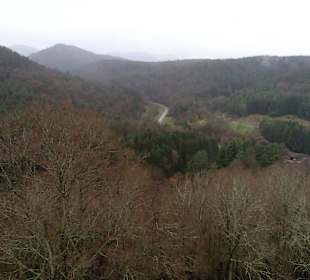 Burg Berwartstein in Erlenbach