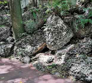 Ausflug zum National Park Los Tres Ojos mit Andy