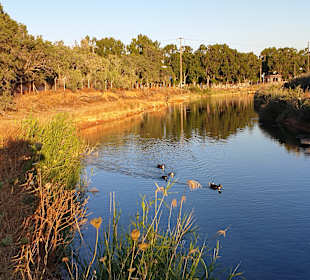 Stadtrundgang Amoudara