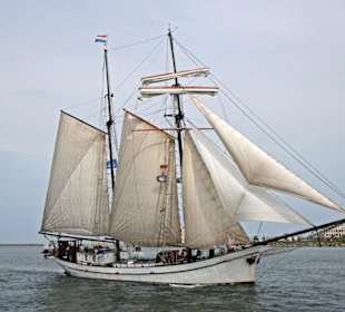 Segler in Warnemünde