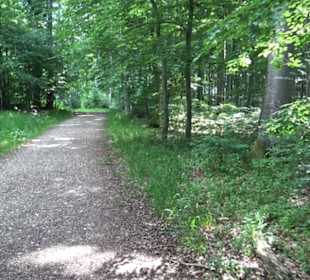 Premiumwanderweg "hochgelegen"