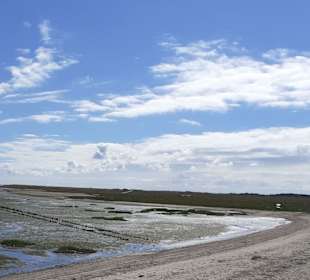 Insel Röm, Rømø, Romo