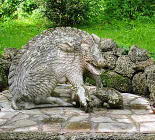 Lustiges Wildschwein im Garten der Wasserspiele