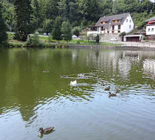 Bergsee Triberg