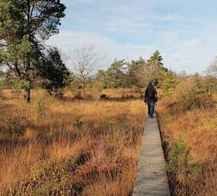 Wandern im Hohen Venn