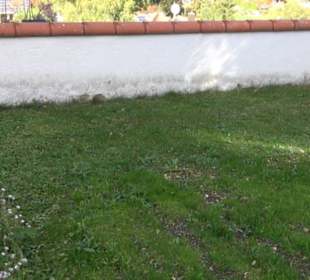 Friedhof Steingebronn