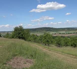Früchtetrauf - Wurmlinger Kapellenwegle