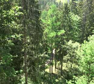 Naturparkzentrum Ruhestein