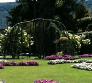 Gärten auf der Isola Bella