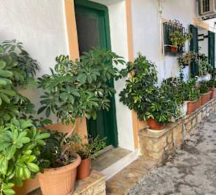 Inselrundfahrt Korfu