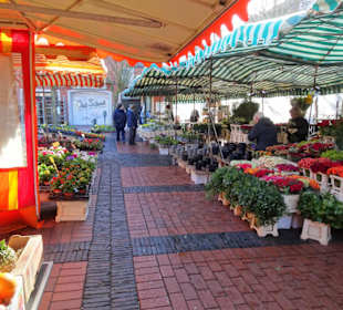Rundgang über den Emder Wochenmarkt