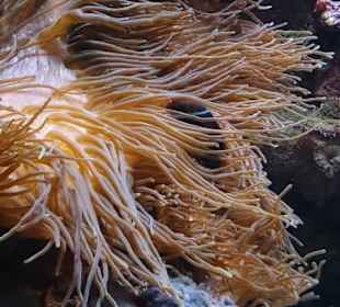 Allwetterzoo Münster