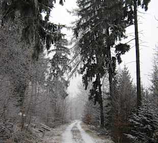 W drodzę na Ślężę