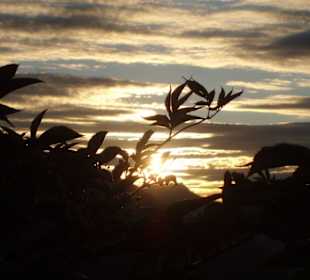 Sonnenuntergang am Rellseck