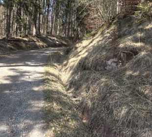 Geologischer Lehrpfad Kirnbachtal