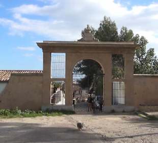 Treppe zur Carrer de Bellver