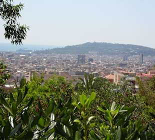 Parc Guell